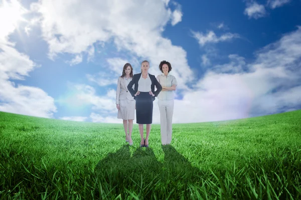 Donne d'affari contro il campo verde — Foto Stock