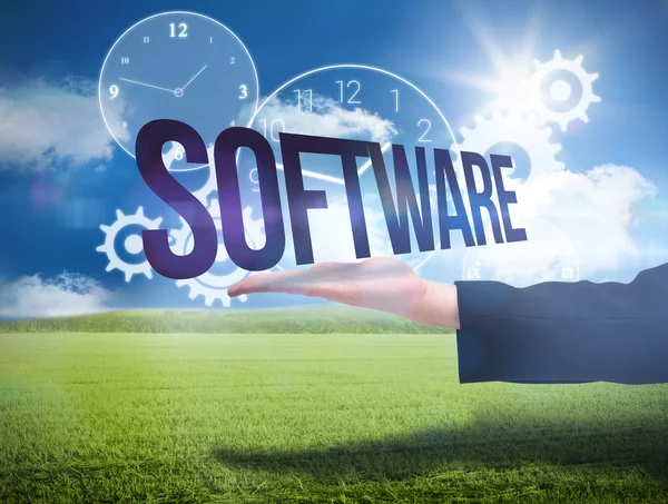 Businesswomans mano che presenta la parola software — Foto Stock