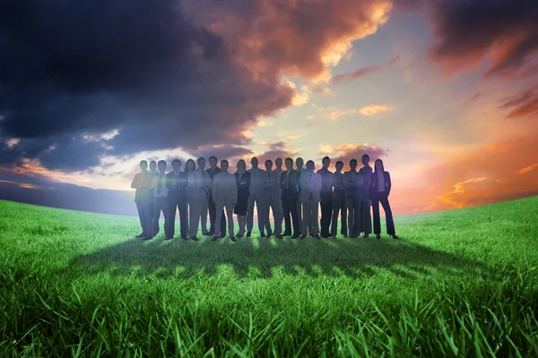 Business people against green field — Stock Photo, Image