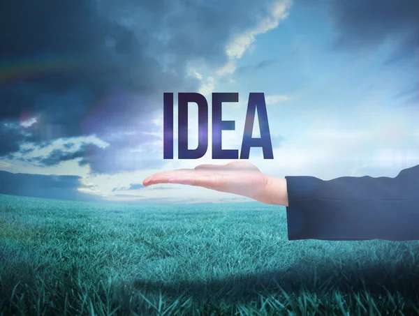 Businesswomans hand presenting the word idea — Stock Photo, Image