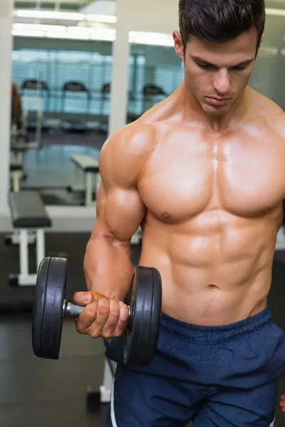 Gespierde man uitoefenend met halter in gym — Stockfoto