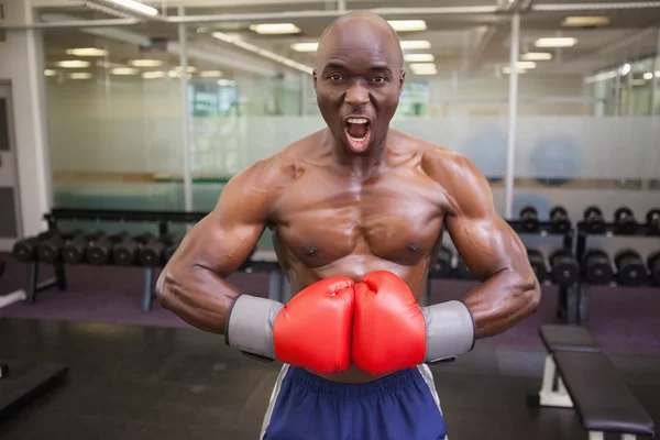 Gespierde bokser buigen spieren in gezondheidsclub — Stockfoto