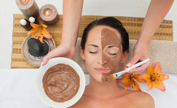 Peaceful brunette getting a mud facial applied Stock Picture