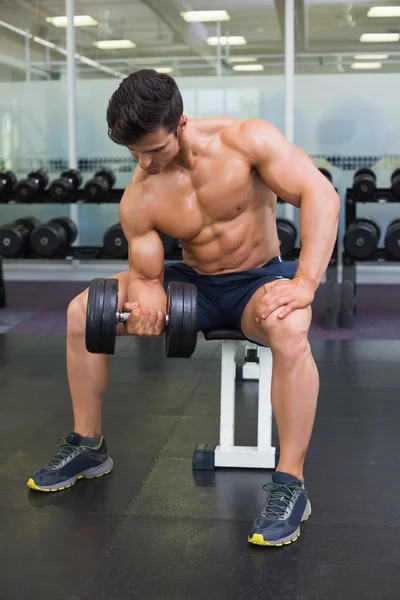 Homem musculoso exercitando com halteres no ginásio — Fotografia de Stock