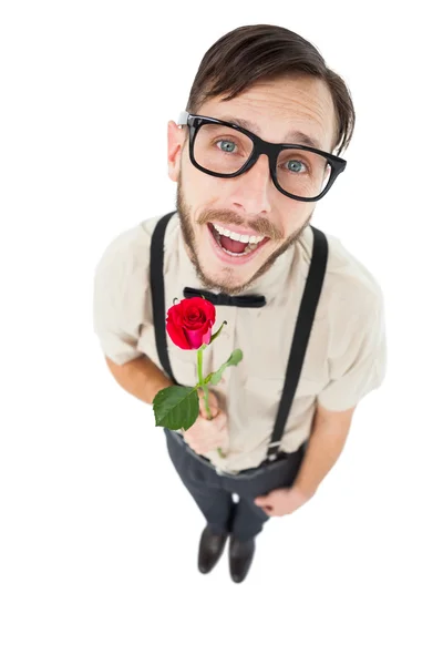 Geeky lovesick hipster κρατώντας τριαντάφυλλο — Φωτογραφία Αρχείου