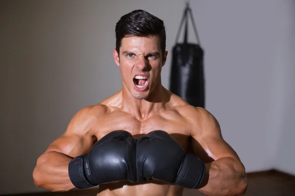 Muskelkräftiger Boxer brüllt in Fitnessstudio — Stockfoto