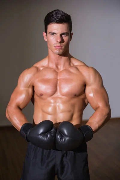 Portrait of a shirtless muscular boxer — Stock Photo, Image