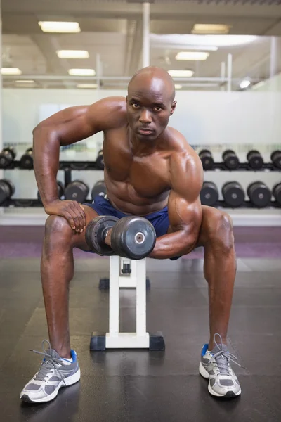 ジムのダンベル運動筋肉の男 — ストック写真