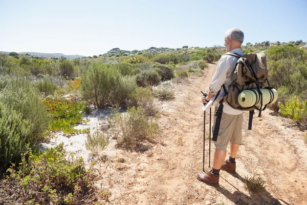 Stilig hiker titta på landskapet på landsbygden — Stockfoto