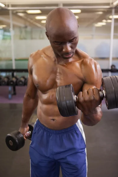 Hombre musculoso haciendo ejercicio con pesas en el gimnasio — Foto de Stock