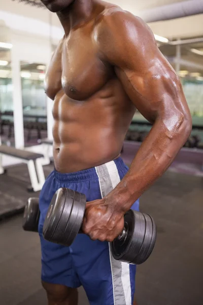 ジムでダンベル運動筋肉の男 — ストック写真