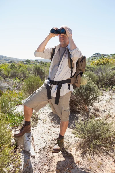 Hiker tittar genom kikare på land trail — Stock fotografie
