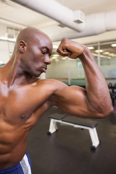 Hombres musculosos sin camisa flexionando los músculos —  Fotos de Stock