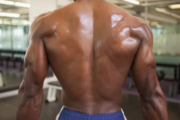 Rear view of a shirtless bodybuilder — Stock Photo, Image