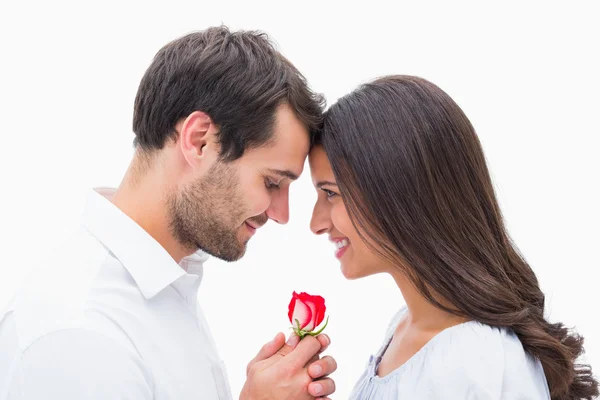 Hombre guapo ofreciendo a su novia una rosa Fotos de stock libres de derechos