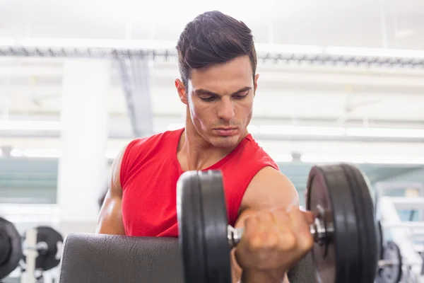 Muskulös man tränar med hantel i gym — Stockfoto
