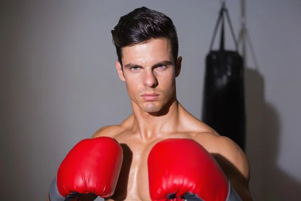 Portrait of a serious muscular boxer — Stock Photo, Image