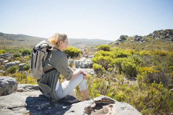 Tramp sedí na summitu — Stock fotografie