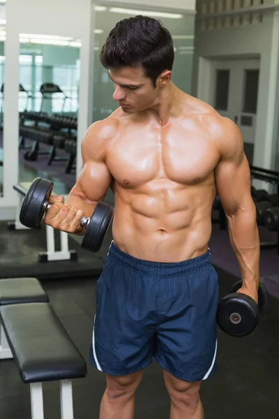 Hombre musculoso sin camisa haciendo ejercicio con pesas en el gimnasio — Foto de Stock