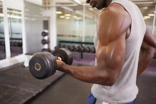 Hombre musculoso haciendo ejercicio con mancuerna en el gimnasio — Foto de Stock