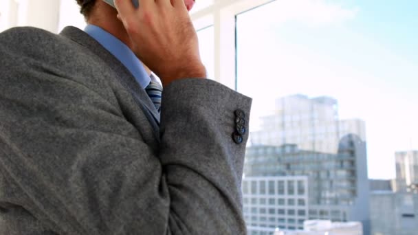 Handsome businessman talking on his phone — Stock Video