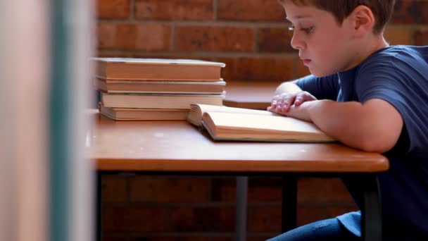Junge liest Buch im Klassenzimmer — Stockvideo