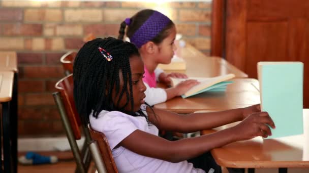 Schoolchildren reading in their classroom — Stock Video