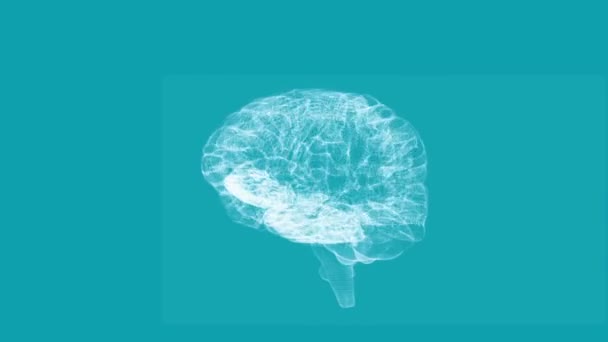 Revolving transparent human brain graphic — Stock Video