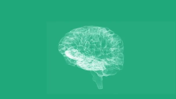 Revolving transparent human brain graphic — Stock Video