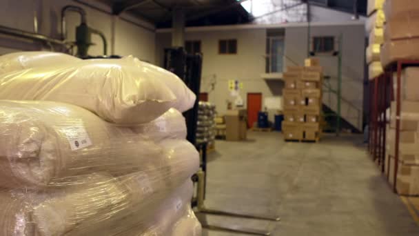 Trabajador de almacén empacando una paleta — Vídeos de Stock