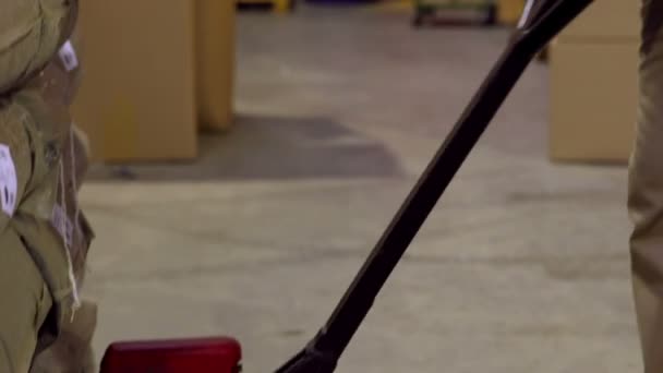 Работник склада кладет палитру на тележку — стоковое видео