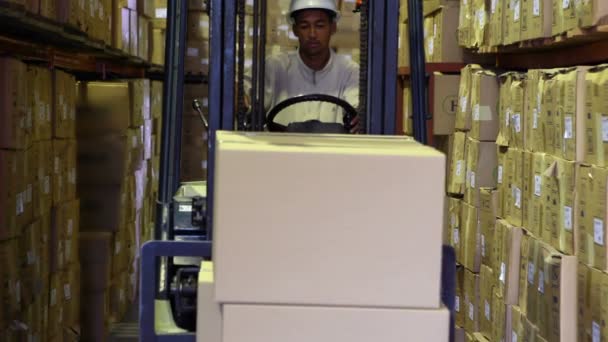 Carrello elevatore conducente raccogliendo tavolozza di scatole — Video Stock
