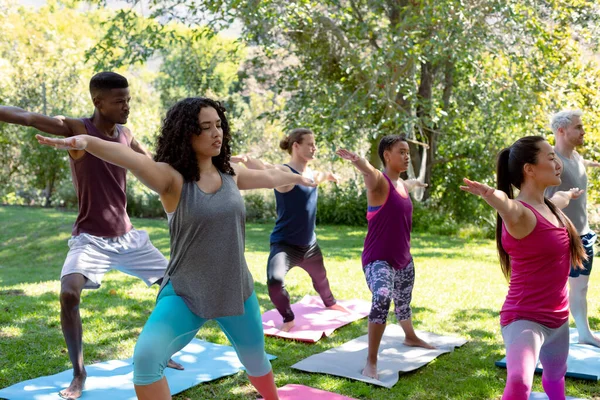 Grupo Diversas Personas Femeninas Masculinas Practicando Yoga Aire Libre Fitness — Foto de Stock