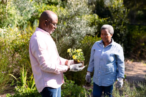 Αφρικάνικο Ζευγάρι Ηλικιωμένων Κηπουρών Φύτευση Λουλουδιών Εξωτερικούς Χώρους Συνταξιοδότηση Τρόπο — Φωτογραφία Αρχείου