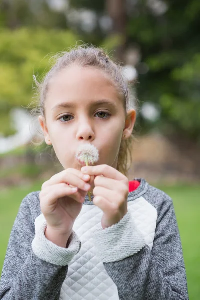 Kleines Mädchen bläst Löwenzahn — Stockfoto