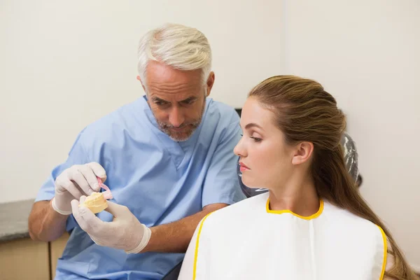 Dentist showing patient model of teeth — Stock Photo, Image