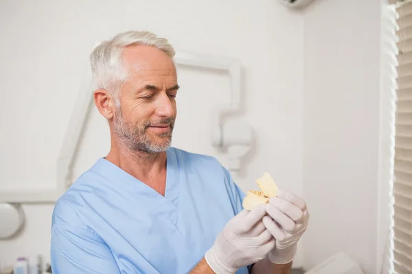 Tandarts in blauw scrubs kijken naar mond model — Stockfoto