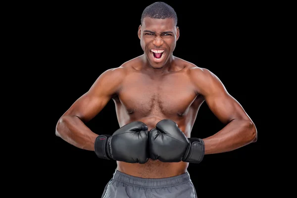 Shirtless muscular boxer flexing muscles — Stock Photo, Image