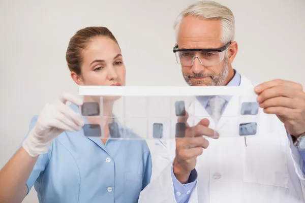 Dentist and assistant studying x-rays — Stock Photo, Image