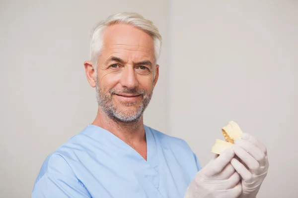 Dentist in blue scrubs holding mouth model — Stock Photo, Image