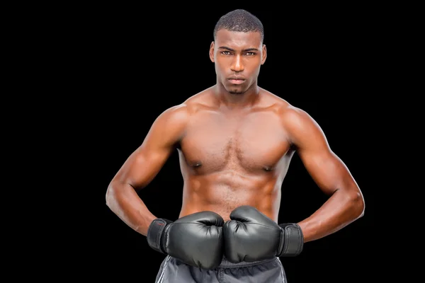 Shirtless muscular boxer — Stock Photo, Image