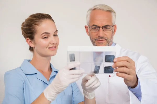 Dentist and assistant studying x-rays — Stock Photo, Image