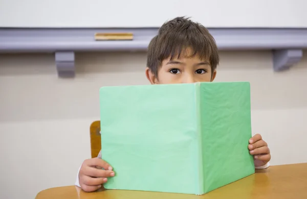 Schüler lesen Buch am Schreibtisch — Stockfoto