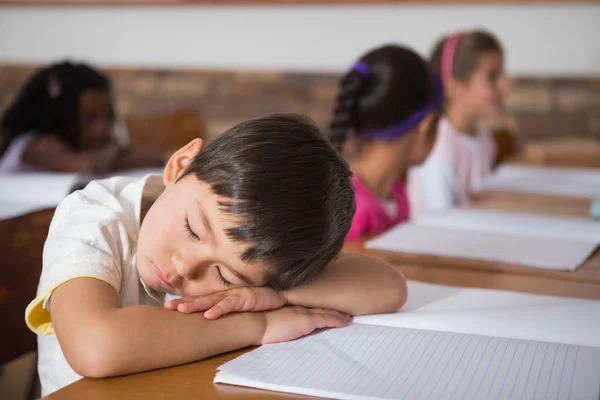 Alumno dormido sentado en su escritorio — Foto de Stock