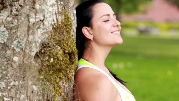 Morena cerca del árbol — Vídeo de stock