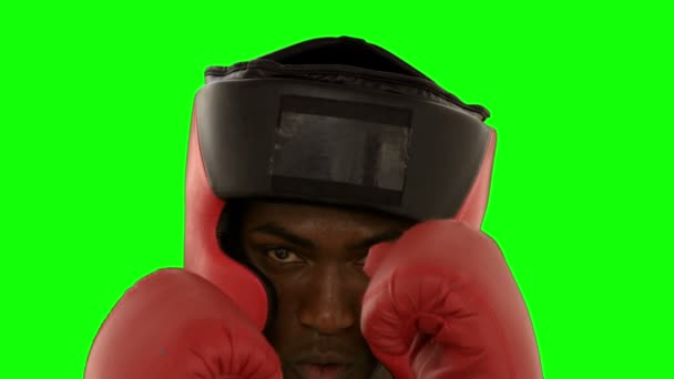 Boxer in de helm ponsen — Stockvideo