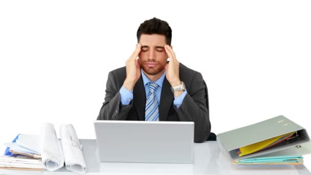 Businessman working at his desk — Stock Video