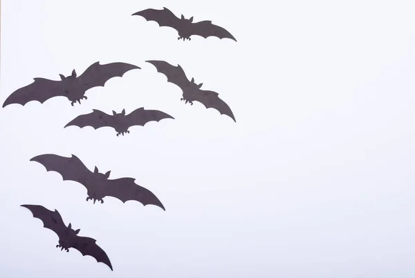 Composição Vários Morcegos Pretos Halloween Voando Com Espaço Cópia Fundo — Fotografia de Stock