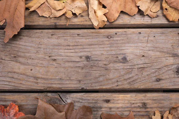 Skład Jesienny Suchy Liść Kopia Miejsce Rustykalny Drewniany Powierzchnia Jesienna — Zdjęcie stockowe