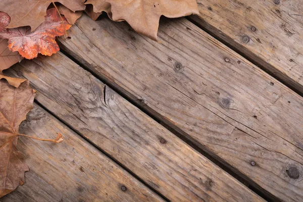 Skład Jesienny Suchy Liść Kopia Miejsce Rustykalny Drewniany Powierzchnia Jesienna — Zdjęcie stockowe